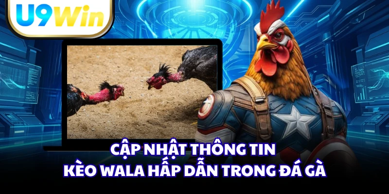 Cập nhật thông tin kèo Wala hấp dẫn trong đá gà