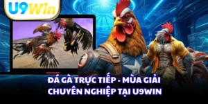 Đá Gà Trực Tiếp - Mùa Giải Chuyên Nghiệp Tại U9WIN