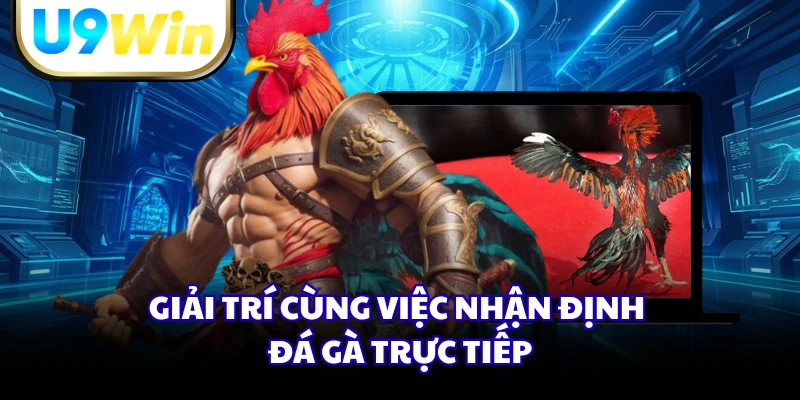 Giải trí cùng việc nhận định đá gà trực tiếp