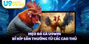 Mẹo Đá Gà U9WIN - Bí Kíp Săn Thưởng Từ Các Cao Thủ