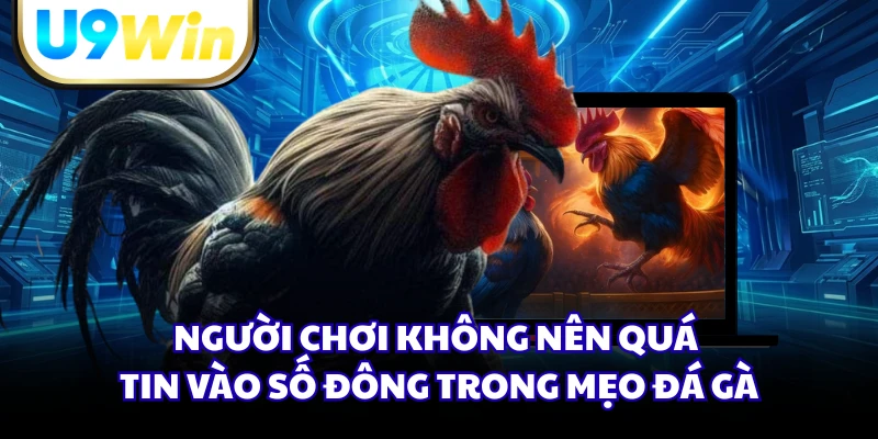 Người chơi không nên quá tin vào số đông trong mẹo đá gà